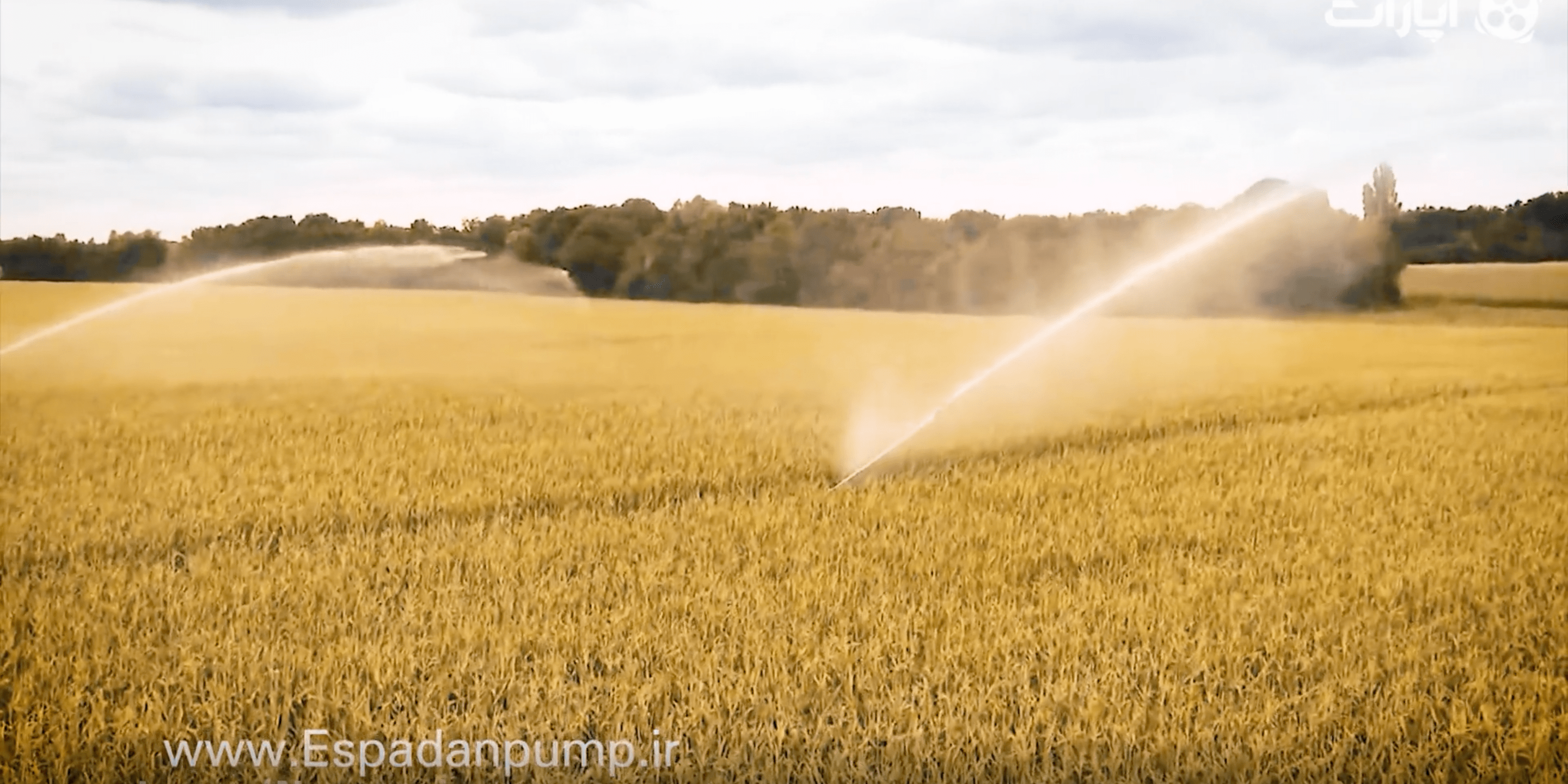 Screen Shot 1401-12-22 at 12.12.57