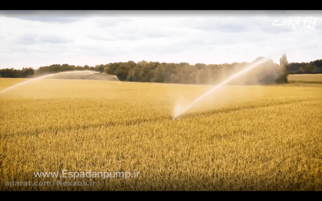 Screen Shot 1401-12-22 at 12.12.57